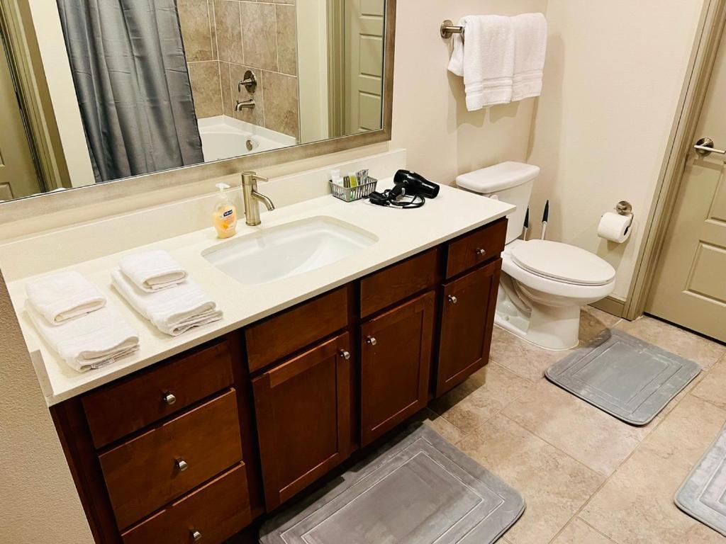 Downtown Apt Free Parking - Pool - Gym - Fully Kitchen Х'юстон Екстер'єр фото